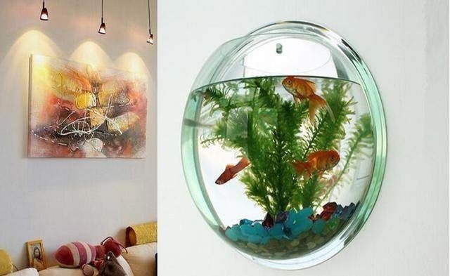 觀景小魚缸的選擇和養護：觀景小魚缸養觀景小魚缸養護觀景小魚缸怎么選魚缸