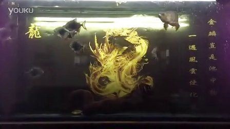 黑桃A魚繁殖水質調控技巧，黑桃a魚繁殖水質調控技巧