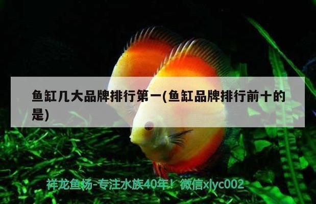 品牌魚缸排名第一的是哪個：品牌魚缸排名第一的可能是“魚樂士”森森（sunsun）