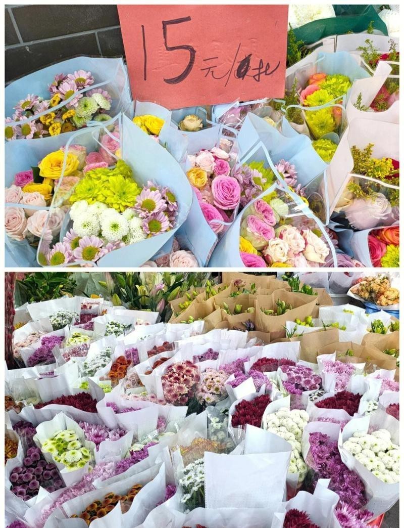 深圳龍華最大的花鳥市場 深圳龍華最大的花鳥市場 龍魚論壇 第2張