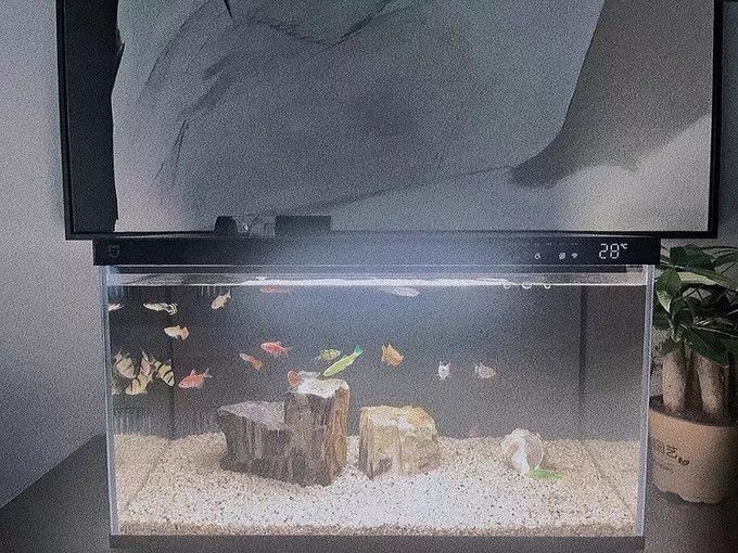 小米幾何畫法魚缸壞了：小米幾何畫法魚缸出現了故障