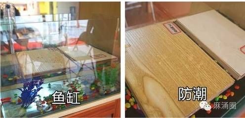 魚(yú)缸保溫材料的種類(lèi)：魚(yú)缸保溫材料的種類(lèi)和特點(diǎn)