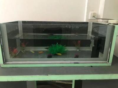 魚(yú)缸保溫材料的種類(lèi)：魚(yú)缸保溫材料的種類(lèi)和特點(diǎn)