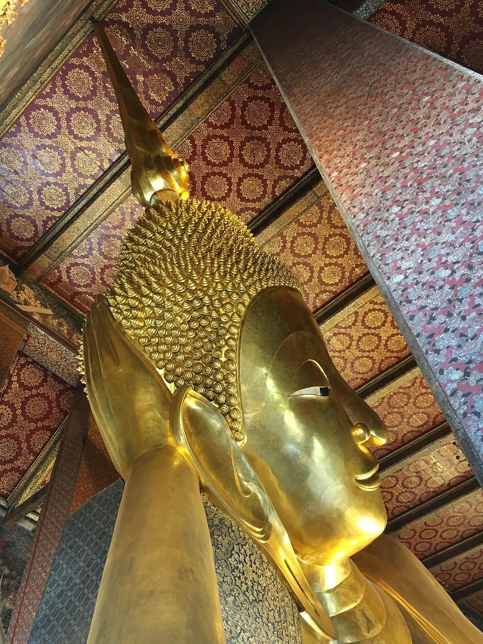 黃金胡子大帆最忌三種東西