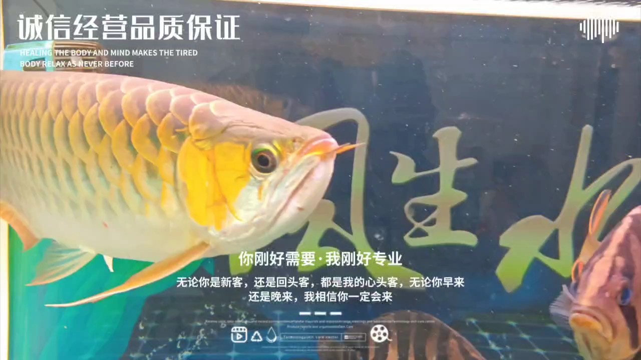 再來一個