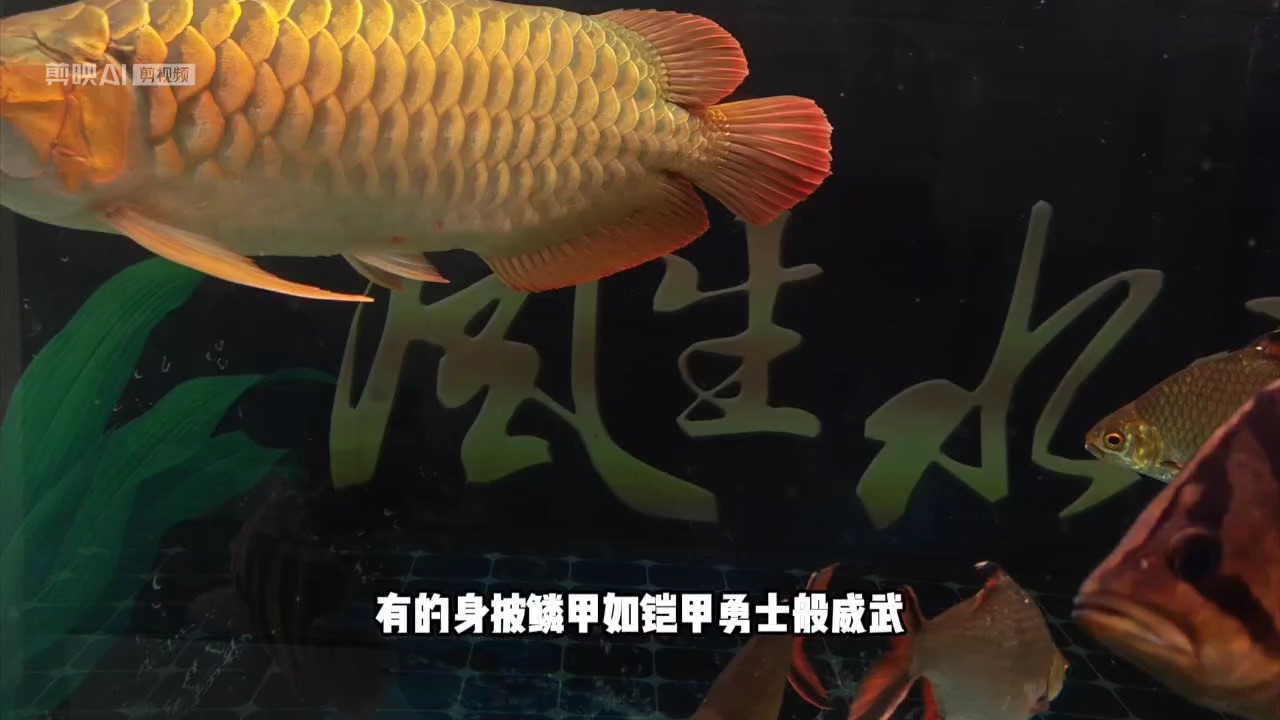 好久沒(méi)拍了。