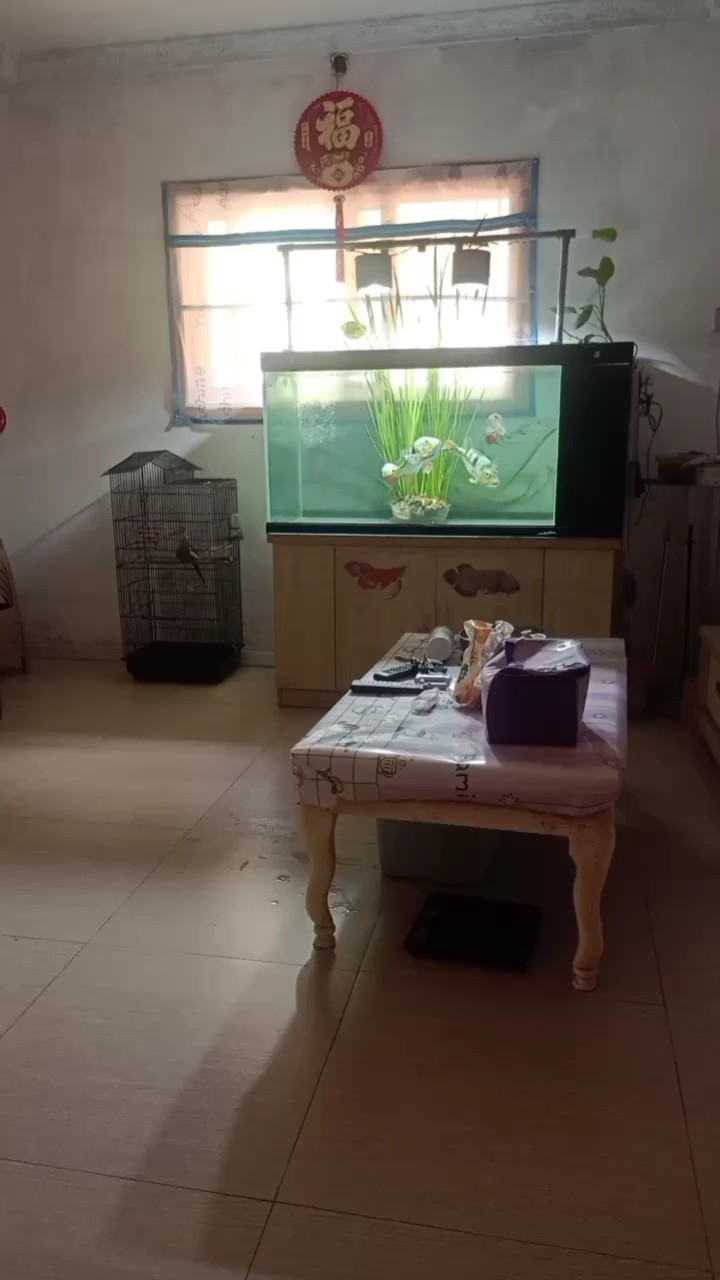玩玩三間了