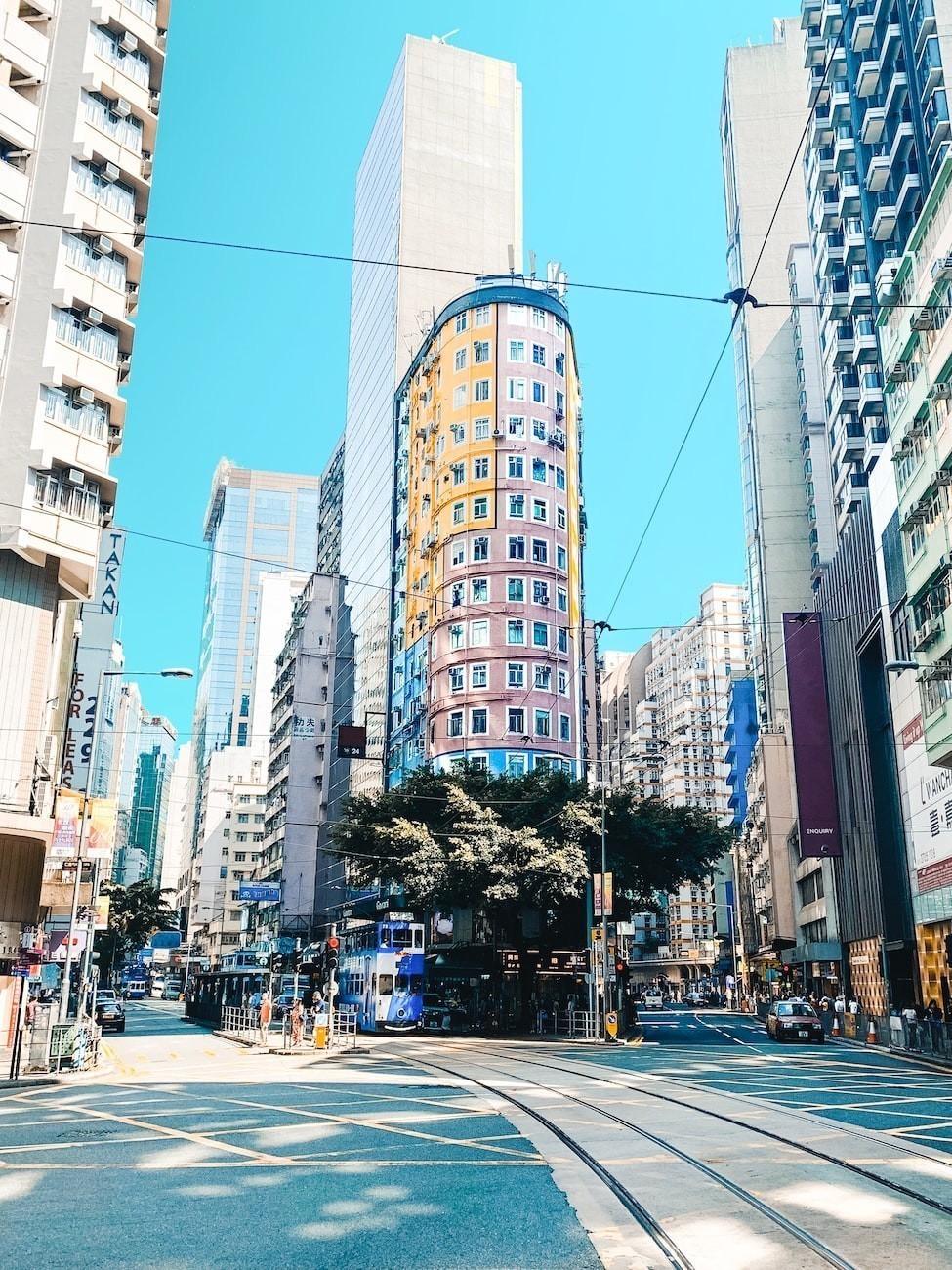 樂清市樂成朱才文寵物用品店（樂清市樂成朱才文寵物用品店地址）