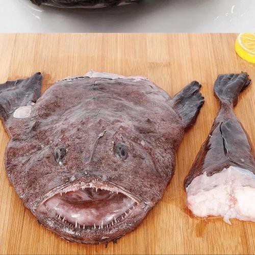 大嘴魚圖片