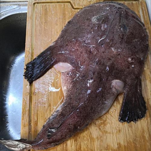 大嘴魚圖片
