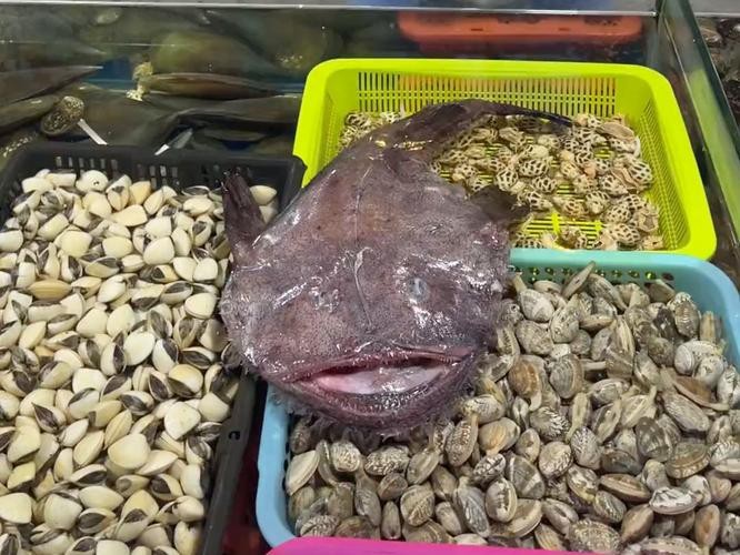 大嘴魚圖片