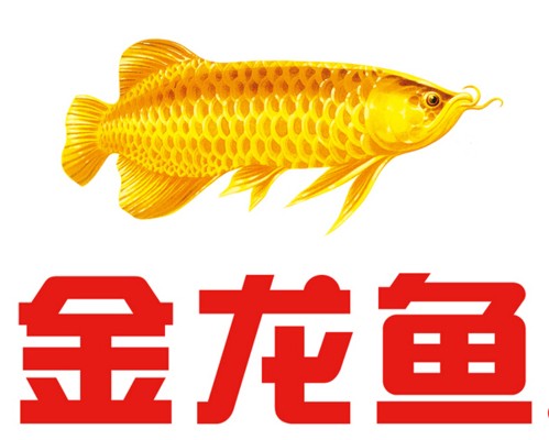 佛山市禪城區魚你有緣水族館（魚你有緣(春意三店)怎么樣）