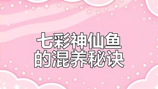 龍魚(yú)可以和七彩混養(yǎng)嗎圖片