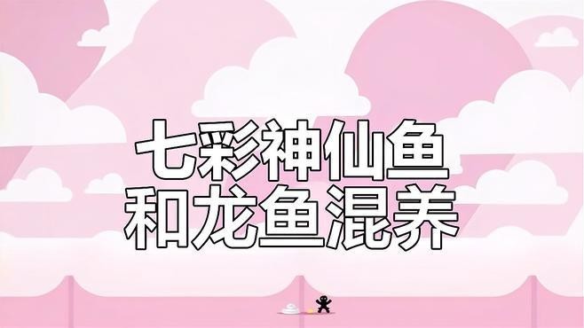 龍魚(yú)可以和七彩混養(yǎng)嗎圖片