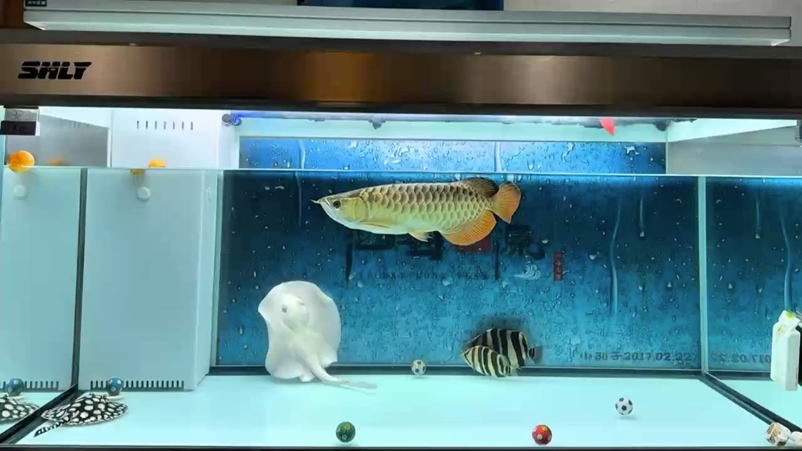 開心起飛