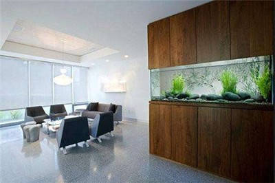 廣州市越秀區易生水族館（廣州市越秀區易生水族館地址）