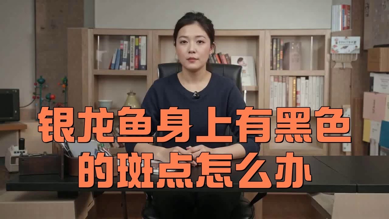 銀龍魚身上有黑斑怎么辦