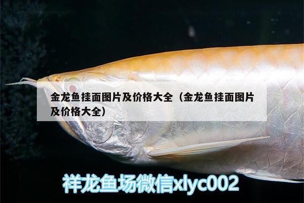 齊河縣海榮花卉水族商店（齊河縣海榮花卉水族商店電話）