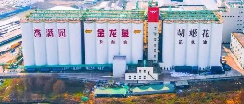 紅龍魚用黃燈烤有用嗎 張家港市楊舍西城七彩水族工藝品店 全國水族館企業(yè)名錄 張家港市楊舍西城七彩水族工藝品店 張家港市楊舍西城七彩水族工藝品店 全國水族館企業(yè)名錄