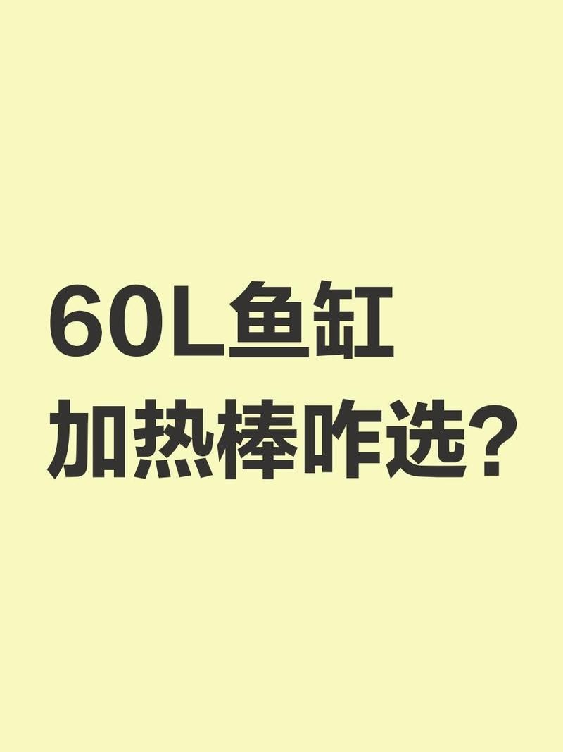 銀龍魚需要多大的加熱器？