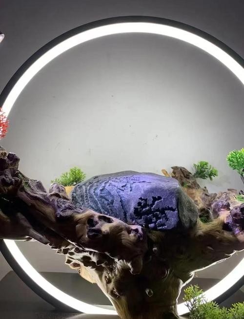 龍頭魚擺件清洗后如何保養？