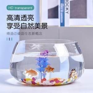 魚缸過濾器聲音很大怎么辦（如何處理魚缸過濾器噪音問題）