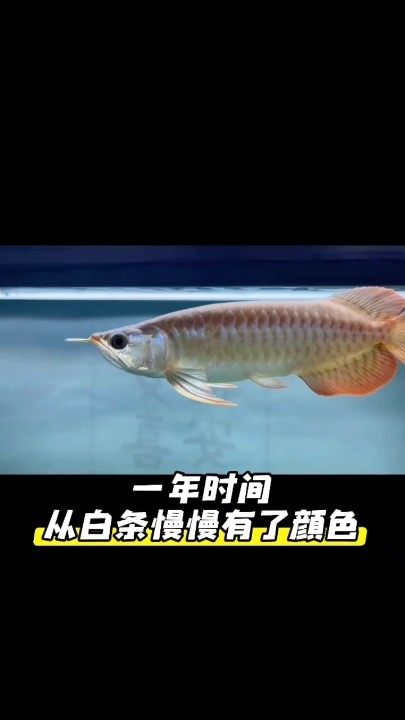 一年的時(shí)間，感受時(shí)間的變化