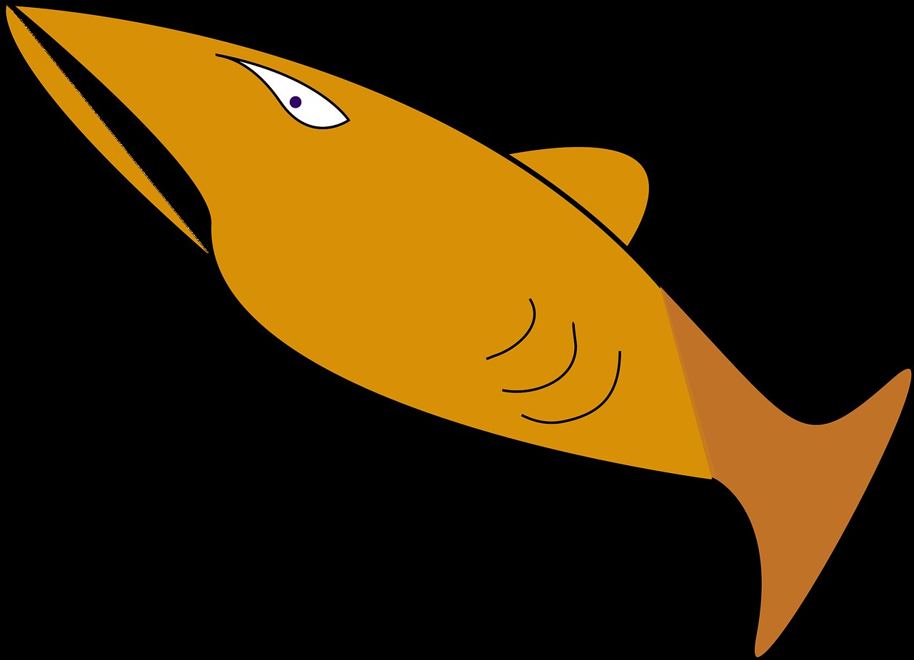 鯊魚(yú)屬于魚(yú)類還是哺乳類