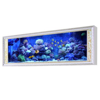 五常市國民觀賞魚水族商店（五常市國民觀賞魚水族商店地址）