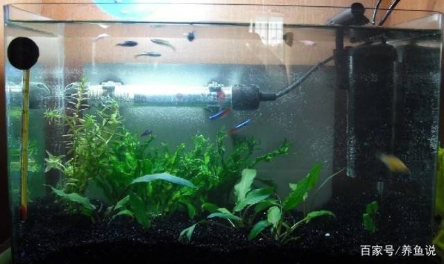 桌面魚缸什么樣的好（桌面魚缸怎么選擇） 桌面魚缸什么樣的好（桌面魚缸怎么選擇） 魚缸百科