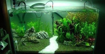 靈璧縣朱集鄉紅日漁具店