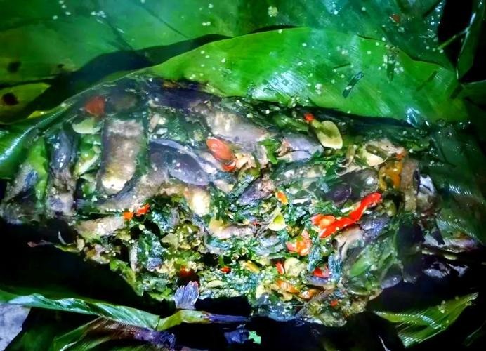 馬古龍魚的圖片大全大圖