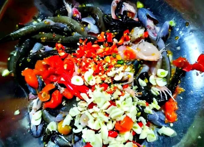 馬古龍魚的圖片大全大圖
