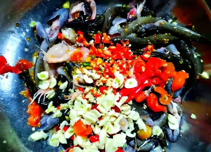 馬古龍魚的圖片大全大圖