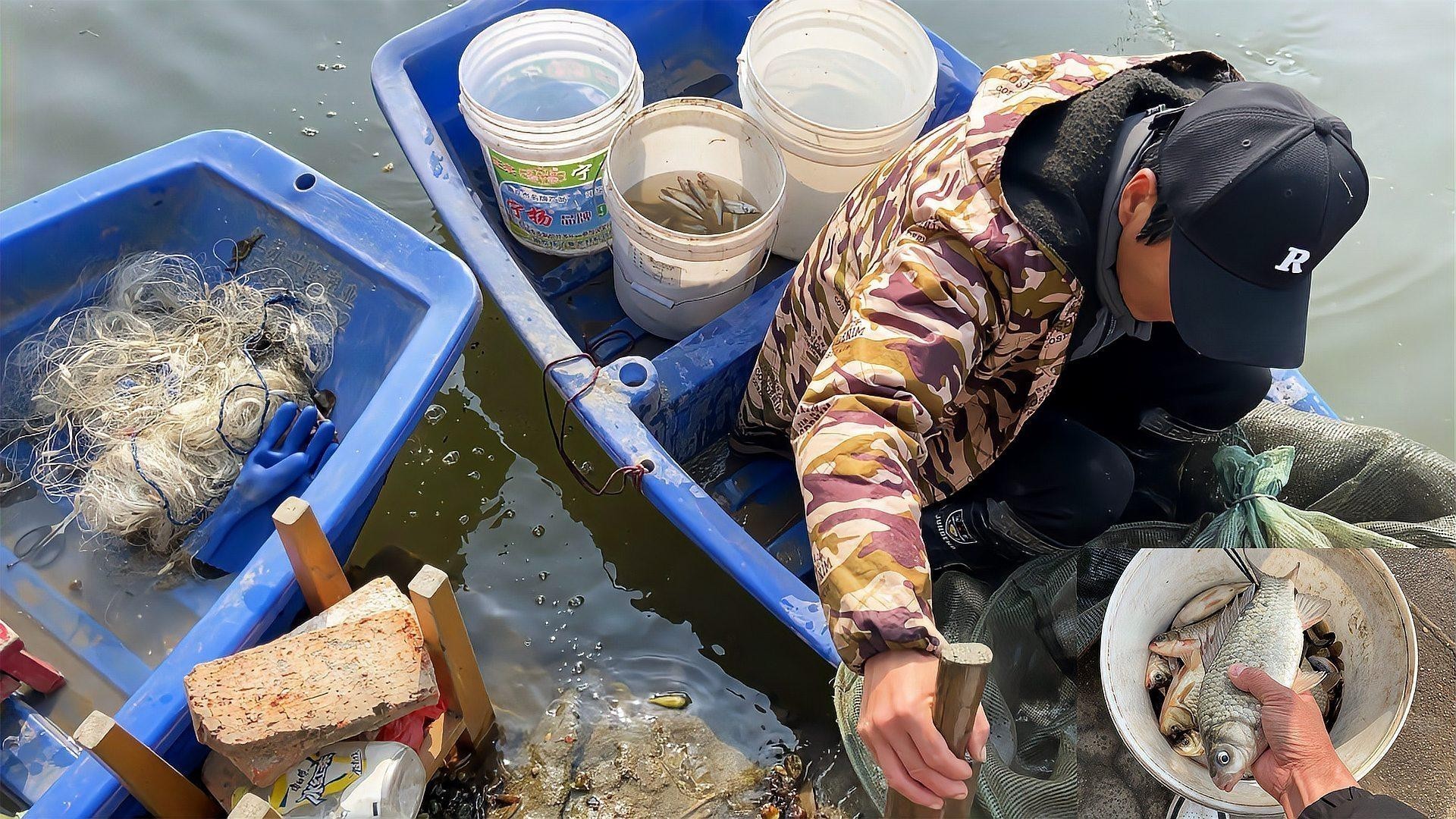 馬古龍魚的圖片大全大圖