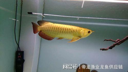 城陽區覓景水族店（城陽區覓景水族店地址）