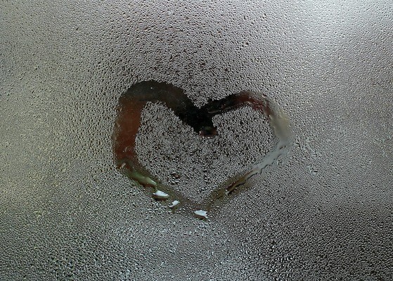 萊州市萬通花卉市場寧建光水族館（萊州花卉市場位置）