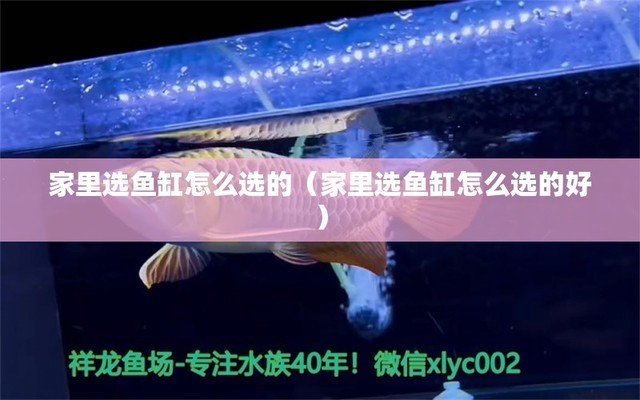 丹陽市丹北鎮可麗愛水族館（丹陽市丹北鎮可麗愛水族館電話）