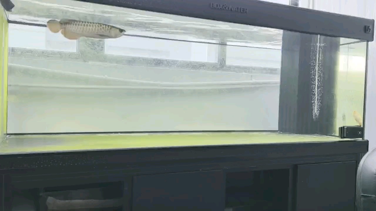 今天第十五天