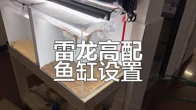 雷龍魚用什么缸好