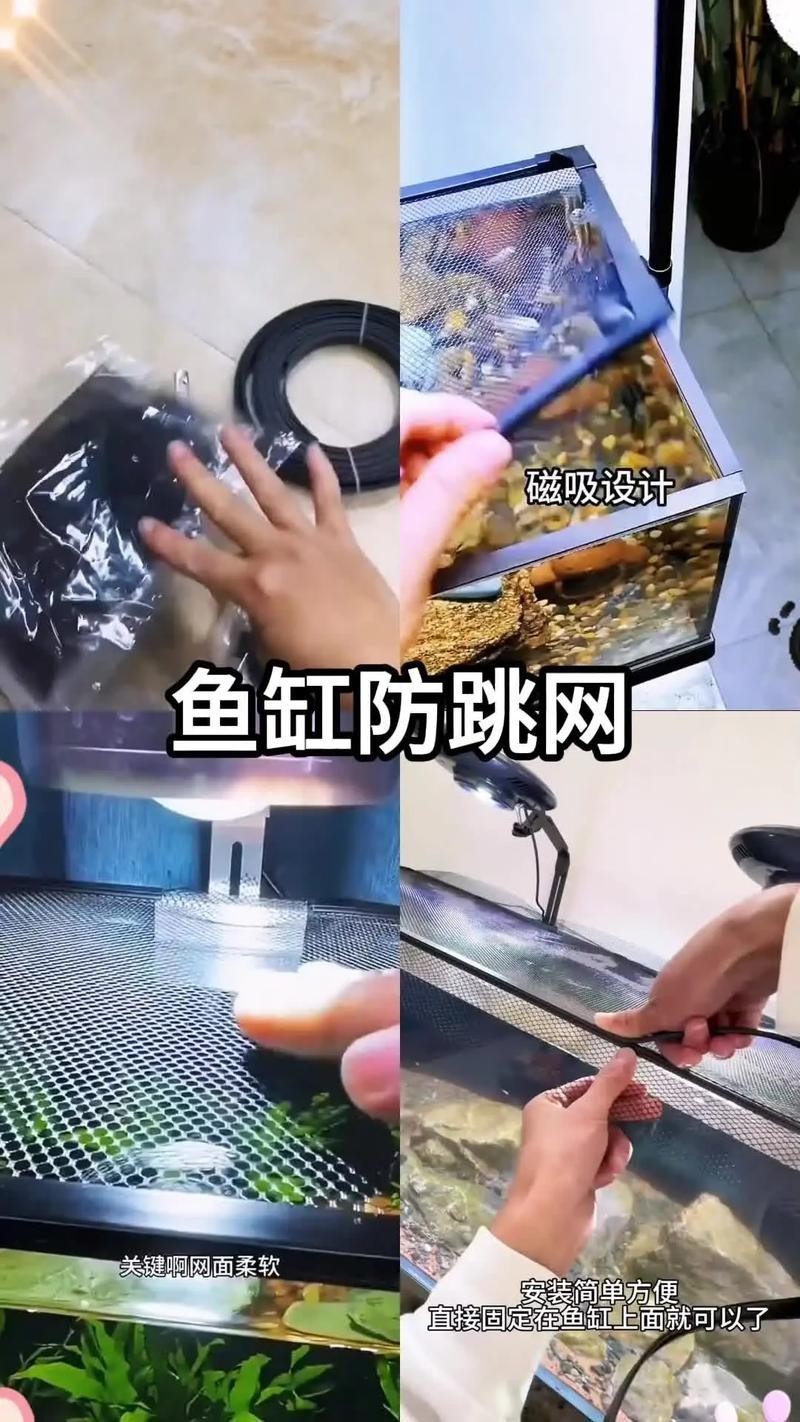 雷龍魚用什么缸好
