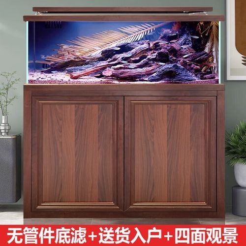 雷龍魚用什么缸好