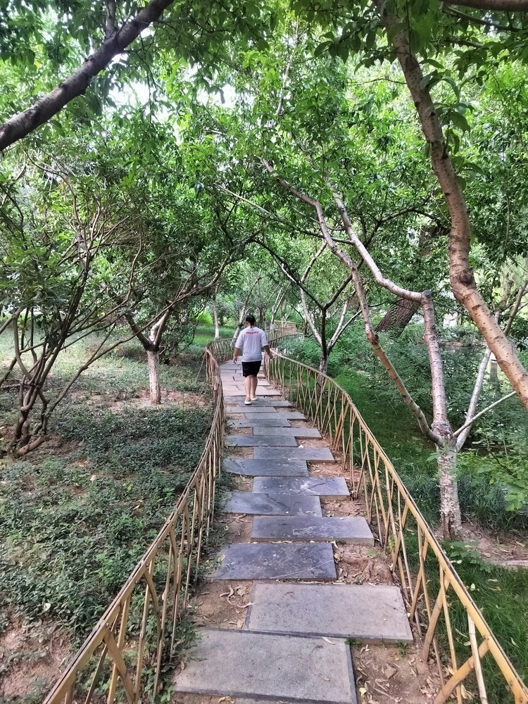 夢見龍魚時的心情如何影響預兆？