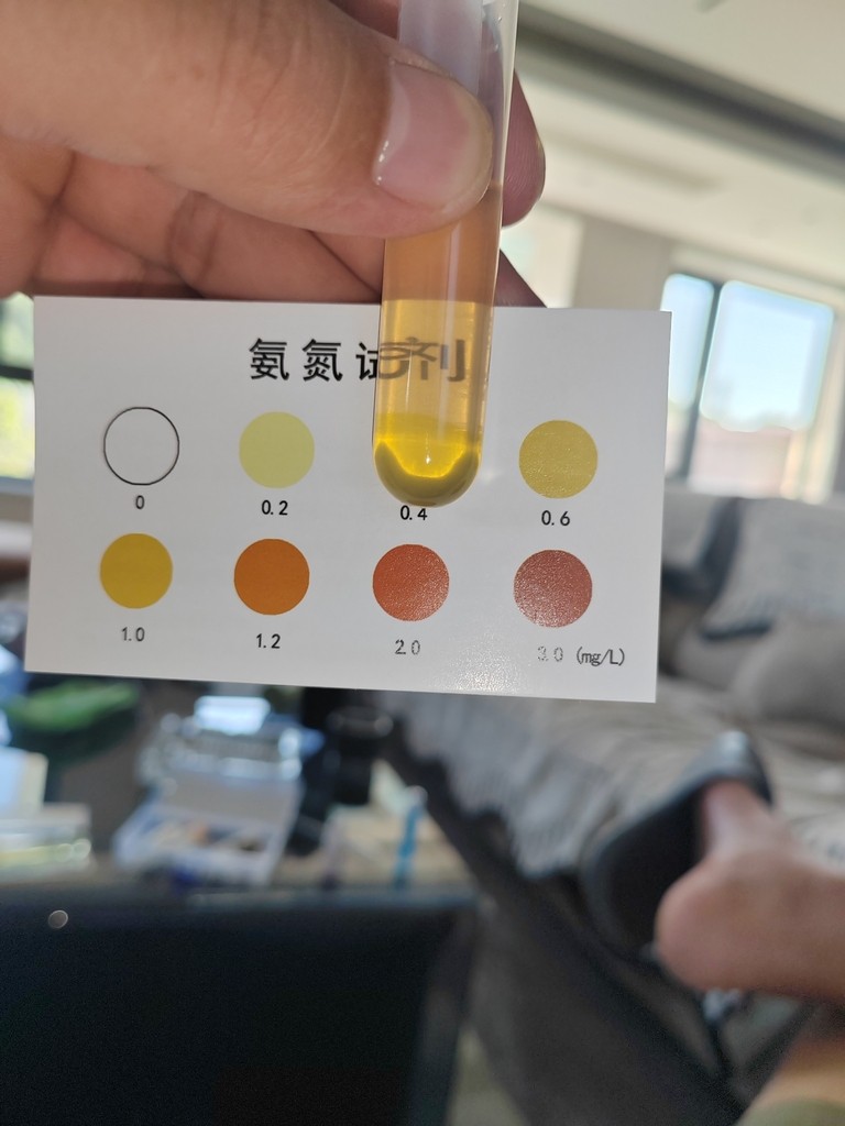 開缸20天