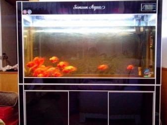 比較好的魚缸品牌有哪些牌子圖片（哪些魚缸品牌比較好？）