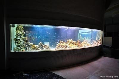 魚缸上門維修（昆明市魚缸上門維修服務(wù)公司及其服務(wù)內(nèi)容及服務(wù)內(nèi)容）