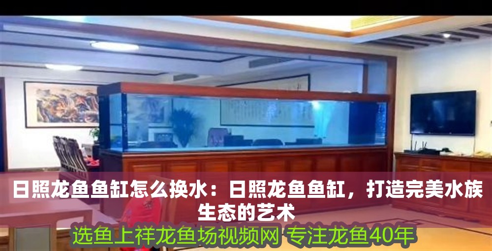 日照龍魚魚缸怎么換水：日照龍魚魚缸，打造完美水族生態(tài)的藝術
