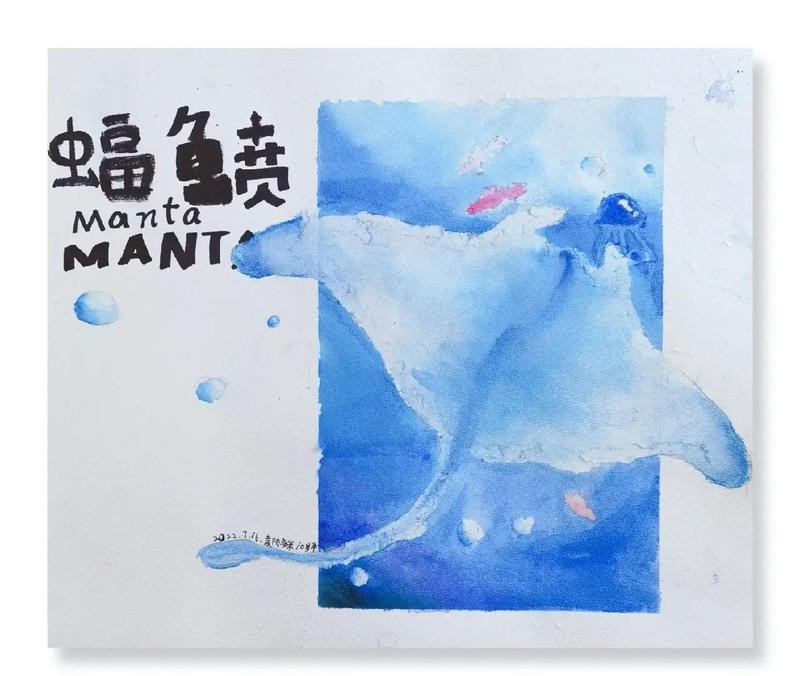 蝠鲼 英文