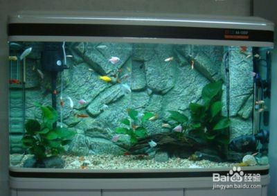 高錳酸鉀消毒魚缸的濃度應該控制在1/5000之間：關于高錳酸鉀消毒魚缸濃度的信息