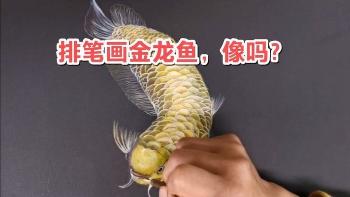 徐州經濟技術開發區江彩生態水族加盟店